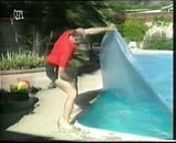VIDEO "pool-accidents"  (MPEG 99,6MB)